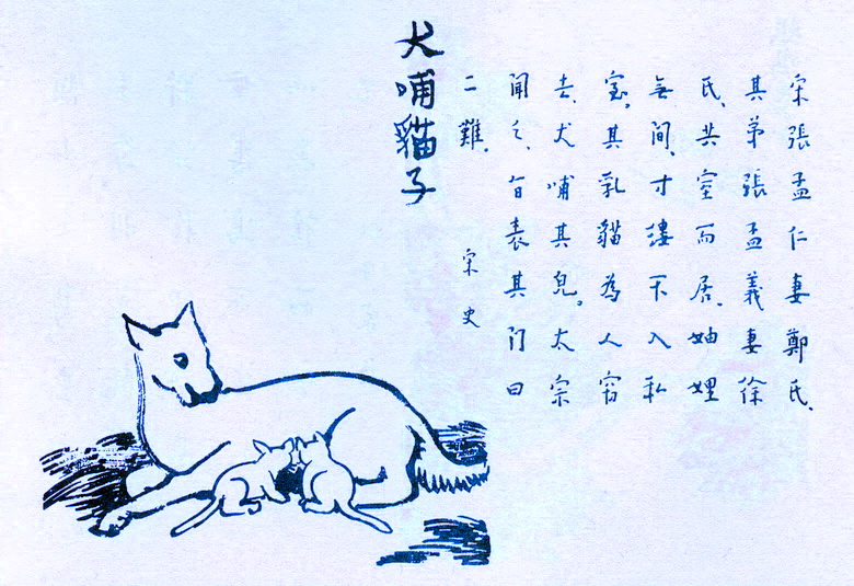 犬哺猫子