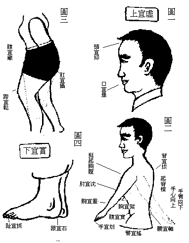 甩手治百病1