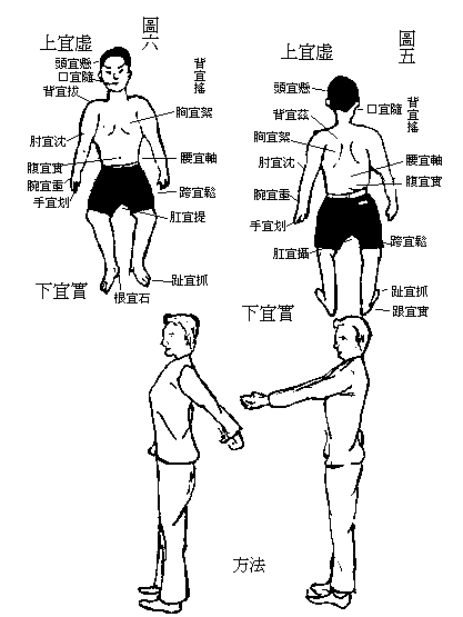 甩手治百病2