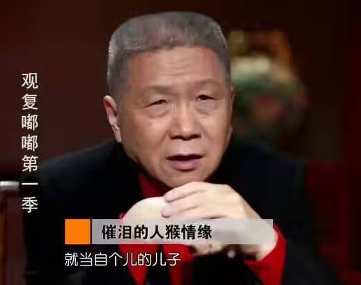 催泪的人猴情缘